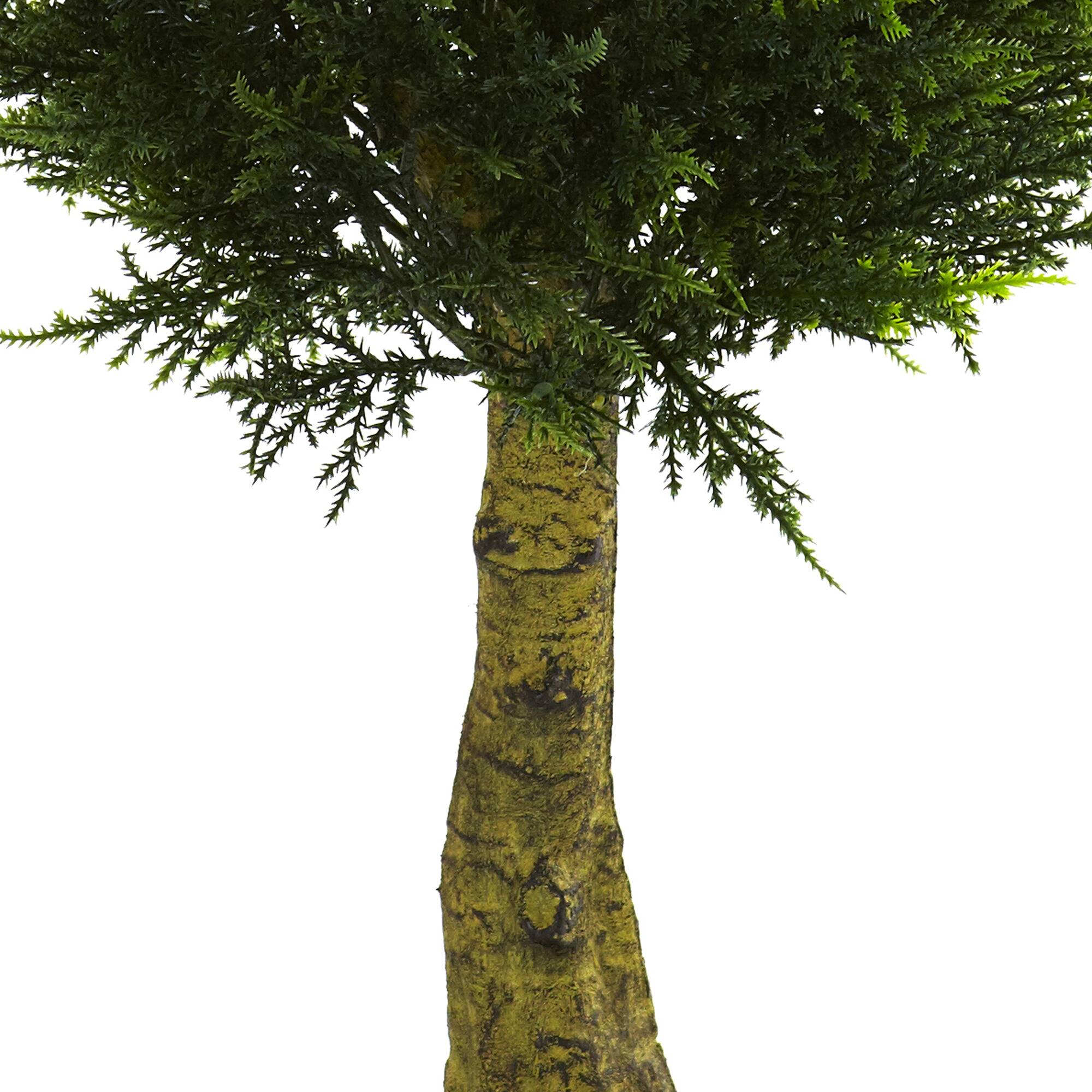 4ft. Potted Double Ball Cypress Topiary